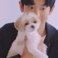 เอซียอล (.'ㅅ' ) (@_aeycyeol) 's Twitter Profile