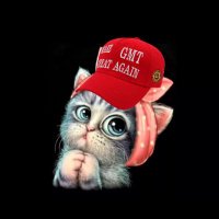 Şule (@susu_984) 's Twitter Profile