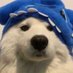 🐽 (@bonus962147) Twitter profile photo 🐽 (@bonus962147) Twitter profile photo