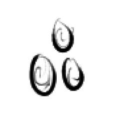 BitDevPawelek's profile picture. maybe