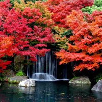 💌日本国民に警告💌 (@satoshicobicci) Twitter profile photo