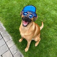 @Bobb (@bobb_01) 's Twitter Profile
