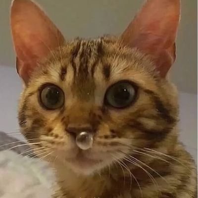 Brenmm18's profile picture. 