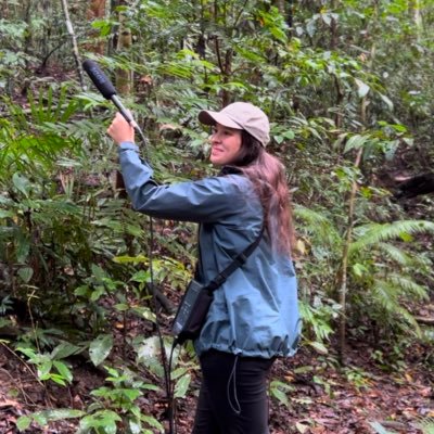 AmeliaCook97's profile picture. Research Assistant: Rehabilitant Orangutan Vocal Behaviour, Northern Sumatra. Siaradwr Cymraeg | Bahasa Indonesia 🦧🌳
