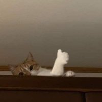 ㅇㄹ🌷iris (@aalicesiri) 's Twitter Profile Photo ㅇㄹ🌷iris (@aalicesiri) 's Twitter Profile Photo
