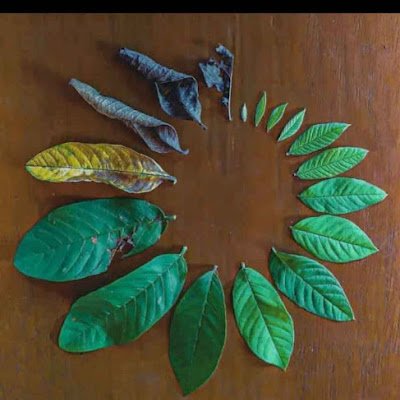 MalkitSing80895's profile picture. 
