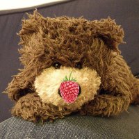 Lil Deano Bear 🇬🇧 (@lildeanobear) 's Twitter Profile Photo Lil Deano Bear 🇬🇧 (@lildeanobear) 's Twitter Profile Photo