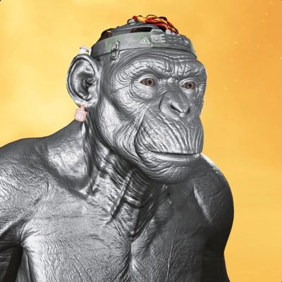 Samz07OG's profile picture. Just a random dude, trying some crypto shit @LetsBONK @SOL but the question is @WEN @PENGU @CHONKY @BONK @JUP @YAKU @BR1  and buzzing myself on @PlayHoneyland🐝