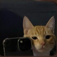 z a c (@zaacxx_) 's Twitter Profile