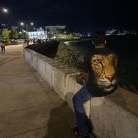 wan 30 (@mfaredzuan95) 's Twitter Profile