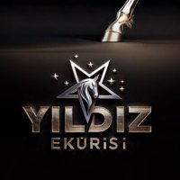 YILDIZ EKÜRİSİ (@yildizekurisi) Twitter profile photo