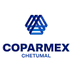 Coparmex Chetumal (@coparmexcht) Twitter profile photo Coparmex Chetumal (@coparmexcht) Twitter profile photo
