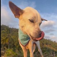 Kelly (@kelzlsd88) 's Twitter Profile