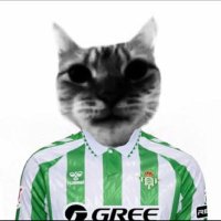 rodriimttt (@_rodrigomt_) 's Twitter Profile