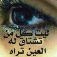 حسين الملاهي (@hael__2030) 's Twitter Profile