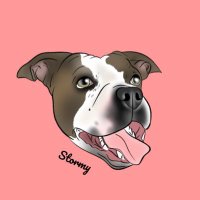 Stormy the Dog (@stormy_the_dog) 's Twitter Profile