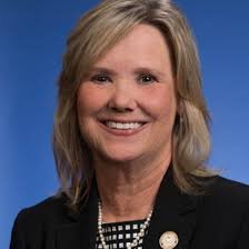 ReneaJones4TN's profile picture. A home-grown Tennessean committed to conservative values and ready to serve the families of Carter and Unicoi County.