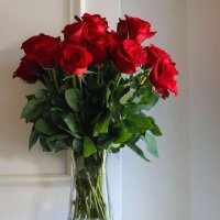 جنوبي،🥀🥀🥀🥀 (@abwalyaf17182) 's Twitter Profile