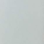 Camisa7news's profile picture. 