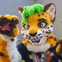 Silverclaw 🐾 (@silverthejag) 's Twitter Profile Photo Silverclaw 🐾 (@silverthejag) 's Twitter Profile Photo