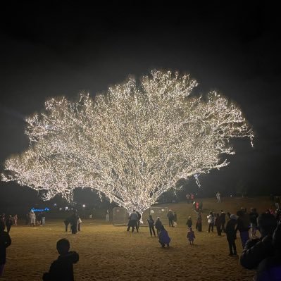 Raj47909141's profile picture. pluviophile#Nature#TDPForever#just NCBN#sri anjaneyam#