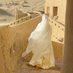 Kheira (@kheirabintkheir) Twitter profile photo Kheira (@kheirabintkheir) Twitter profile photo