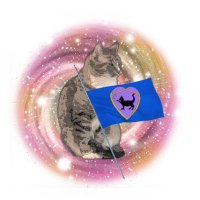 2TabbyTails (@twotabbytails) 's Twitter Profile