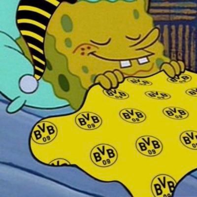 AnesBvb9388's profile picture. ⚜️/🇧🇦