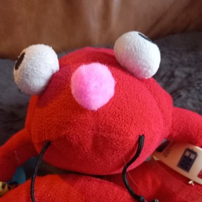 Guard lobster who looks after Mummy and Daddy and my brothers and sisters. Loves the sea, nuts and travel. Author of An Adventure to Wilderness Island.