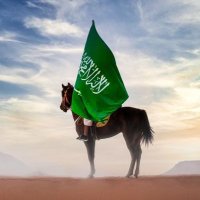 صقر 🇸🇦 (@saqer_saa) Twitter profile photo