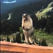 DanGoodny's profile picture. 