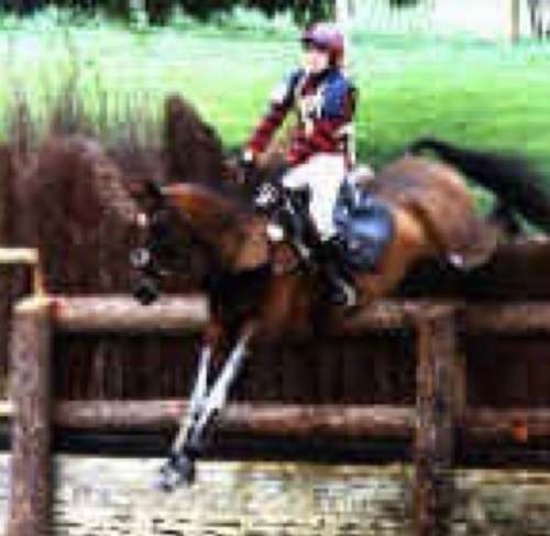 Competition Horse Breeder, Luxury Boarding Cattery and Kennel Proprietor, Event Horses, Dog, Cat and Horse owner. Like Clothes and Fashion.