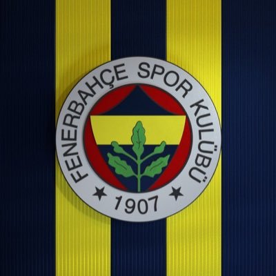 Yagmurcesur25's profile picture. 