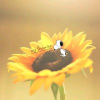 γγ¨γπ» (@7etj2editnnkxnq) 's Twitter Profile