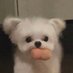 ㄴ (@hnohnoxx1) Twitter profile photo ㄴ (@hnohnoxx1) Twitter profile photo