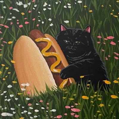 bruinscat's profile picture. josh allen stan account