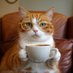 muedi ☕♥️ (@sehrmuede) Twitter profile photo muedi ☕♥️ (@sehrmuede) Twitter profile photo