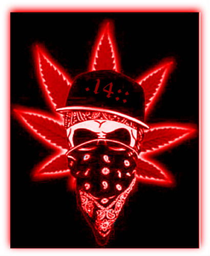 N.F.L ( nigga,from,landover) fuck dem other niggas