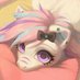 Nova (@novafennec) Twitter profile photo Nova (@novafennec) Twitter profile photo