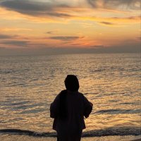 💜 (@sphreimiss) 's Twitter Profile Photo