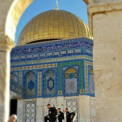 naviga44's profile picture. Gerçek öğrenmeler gerçek bedeller gerektirir..