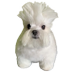 World Famous Antonella, a braba (@itsantonellarib) Twitter profile photo World Famous Antonella, a braba (@itsantonellarib) Twitter profile photo