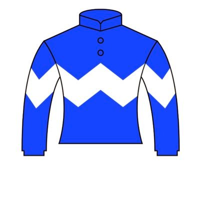 JRA馬主🐴ウィングブルー(中央)サクセスブルー(中央)ハネダブライアン(川崎)クロイゼルング(川崎)クリスプ25ニジイロノコマ25オーナー🐎一口はサンデーシルク🐴無料でプレゼント🎁もらえるファンサイトうまポイ運営‼️