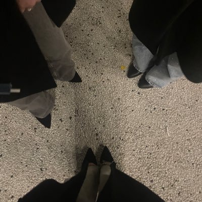 giiorgia444's profile picture. @drake