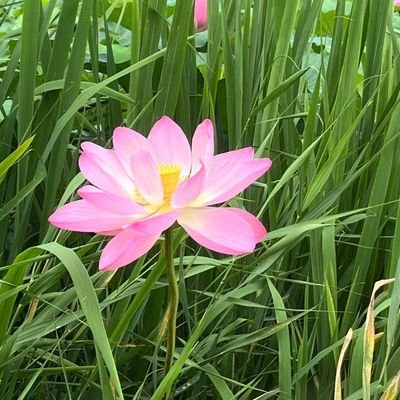 hoonyboyhoony's profile picture. 