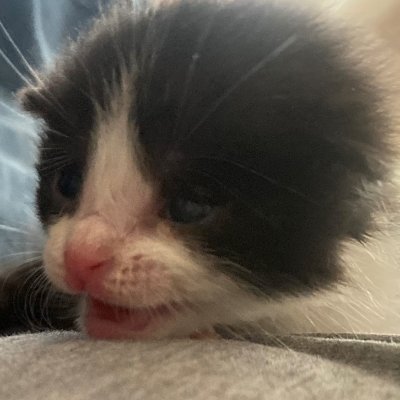 PBrenning7856's profile picture. Hi