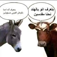 ابوصقر ابحث عن دولتي الجنوب (@bdallhaltm53116) 's Twitter Profile