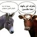 ابوصقر ابحث عن دولتي الجنوب (@bdallhaltm53116) Twitter profile photo ابوصقر ابحث عن دولتي الجنوب (@bdallhaltm53116) Twitter profile photo