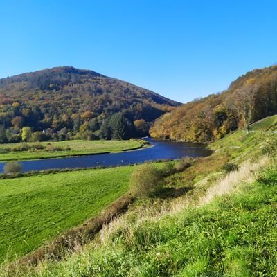 ayukoto0825's profile picture. entre 2,50 et 125€ offert en MP SANS dépôt ( commente une publication si t’es intéressé)