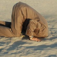 Daniel (@daniel522381994) 's Twitter Profile Photo